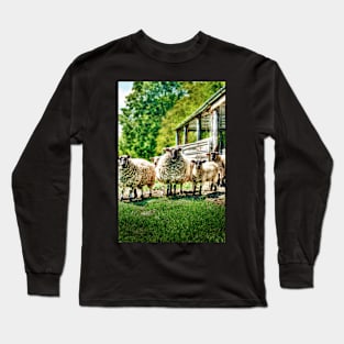 Sheep on the farm Long Sleeve T-Shirt